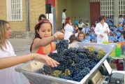 Los alumnos del colegio Mater Dei celebraron una jornada de vendimia