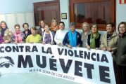 Concentraciones en Los Arcos con motivo del Día Internacional contra la Violencia de Género