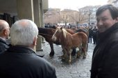 Las Ferias de San Andrés cambiaron la rutina en Estella