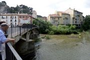 Retiran un fresnodel cauce del Ega  a la altura del Puente del Azucarero
