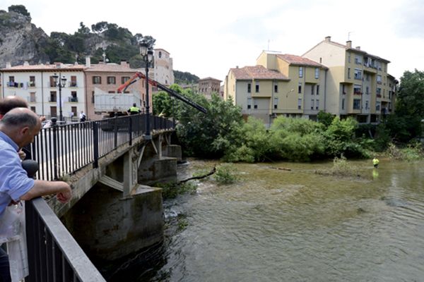 Retiran un fresnodel cauce del Ega  a la altura del Puente del Azucarero
