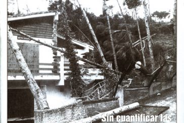 CALLE MAYOR 91 - SIN CUANTIFICAR LAS PÉRDIDAS POR EL VENDAVAL