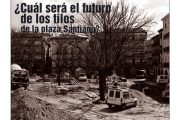 CALLE MAYOR 141 - ¿CUÁL SERÁ EL FUTURO DE LOS TILOS DE LA PLAZA DE SANTIAGO?