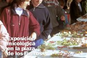 CALLE MAYOR 202 - EXPOSICIÓN MICOLÓGICA EN LA PLAZA DE LOS FUEROS