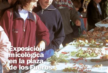 CALLE MAYOR 202 - EXPOSICIÓN MICOLÓGICA EN LA PLAZA DE LOS FUEROS