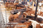 CALLE MAYOR 275 - ESTELLA REUNIÓ A MILES DE VISITANTES EN LA FERIA