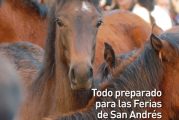 CALLE MAYOR 399 - TODO PREPARADO PARA LAS FERIAS DE SAN ANDRÉS