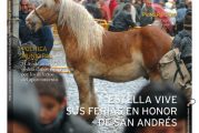 CALLE MAYOR 424 - ESTELLA VIVE SUS FERIAS EN HONOR DE SAN ANDRÉS