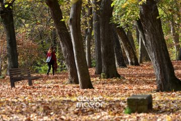 NOVIEMBRE - Estella-Lizarra
