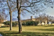 Marcha por el Alzheimer en  el paseo Los Llanos de Estella