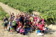Mater Dei brinda con mosto por su 50 aniversario
