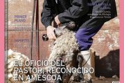CALLE MAYOR 621 - EL OFICIO DEL PASTOR, RECONOCIDO EN AMESCOA