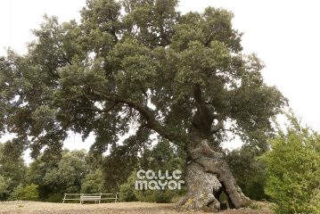 JULIO - Mendaza
