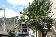 La imagen - ‘Anticipo de la primavera’
