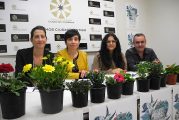 Jueves floridos en los establecimientos de Estella