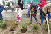 Plantados 80 arbustos y 10 árboles frutales en el Día del Árbol