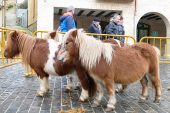 La feria “funcionó” en sábado