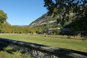 Más 1.000 personas participaron en ‘El Bosque Mágico’