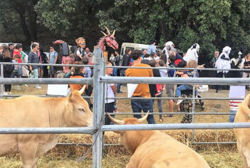 Récord de asistentes en la Fiesta de la Sal