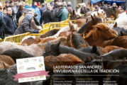 CALLE MAYOR 674 - LAS FERIAS DE SAN ANDRÉS ENVUELVEN A ESTELLA DE TRADICIÓN