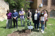 Plantación simbólica de un olmo en el Día Mundial del Medio Ambiente
