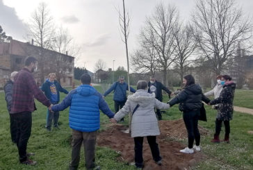 Cinco ginkgos por la vida