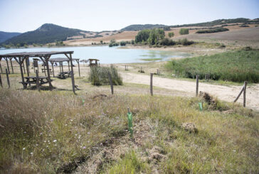 Restauración medioambiental en el embalse de Alloz