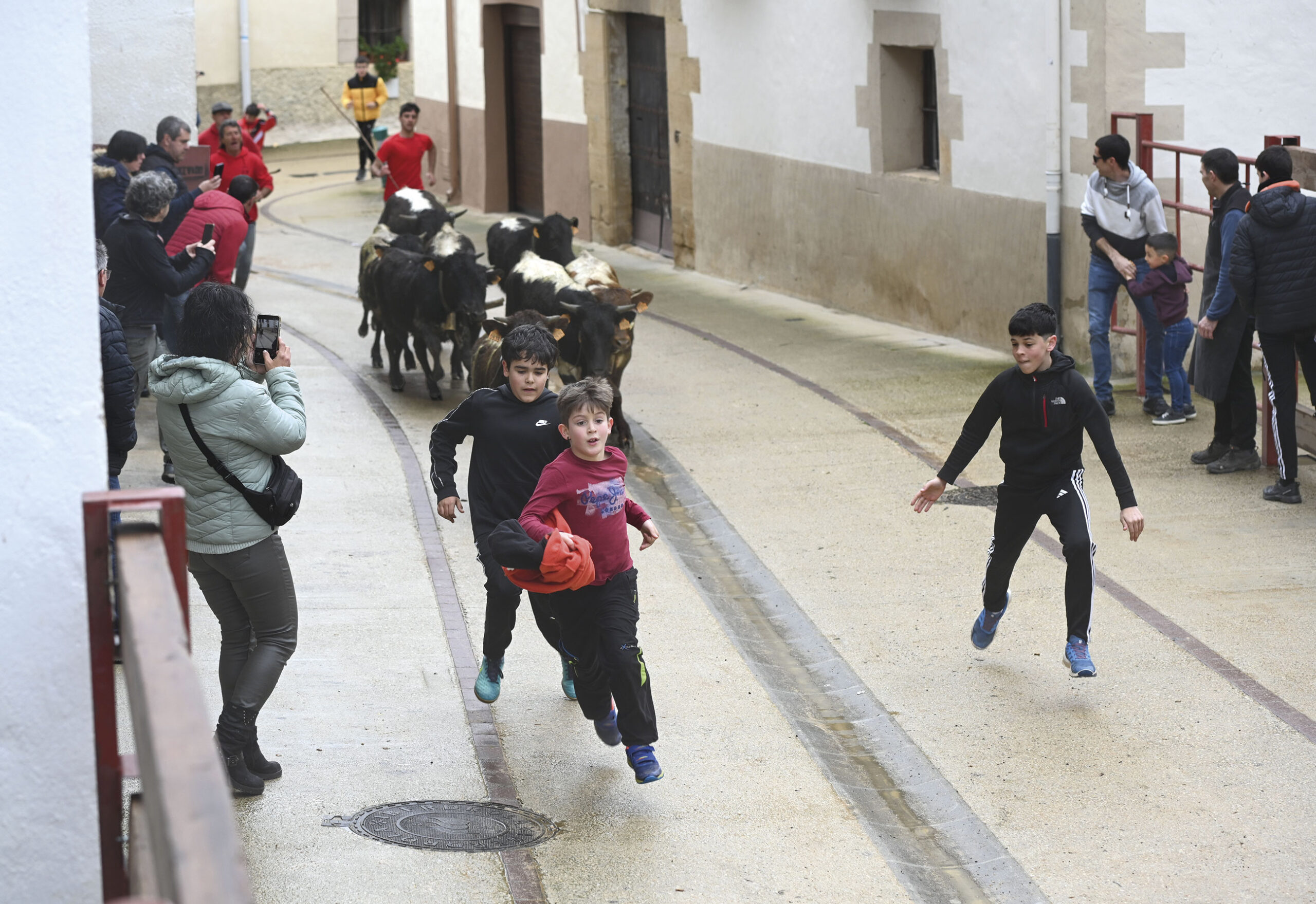 Vacas, música y disfraces pusieron ambiente en Villatuerta por San Veremundo