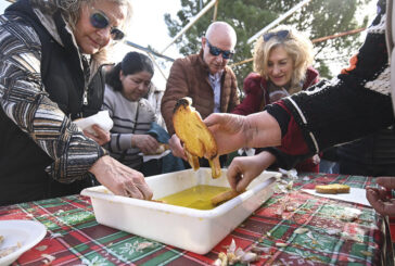 Sol y aceite maridaron en Arróniz