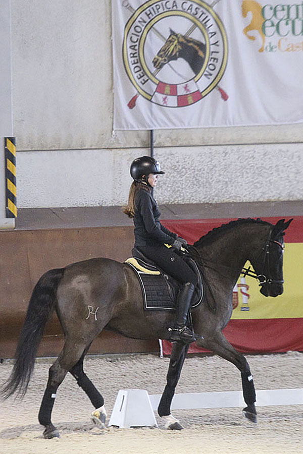 La amazona Ángela Hermoso de Mendoza participó en el clinic de Doma Clásica de Segovia convocada por la entrenadora nacional