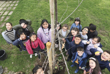Diez árboles más para sombrear el ‘Bosque del Futuro’