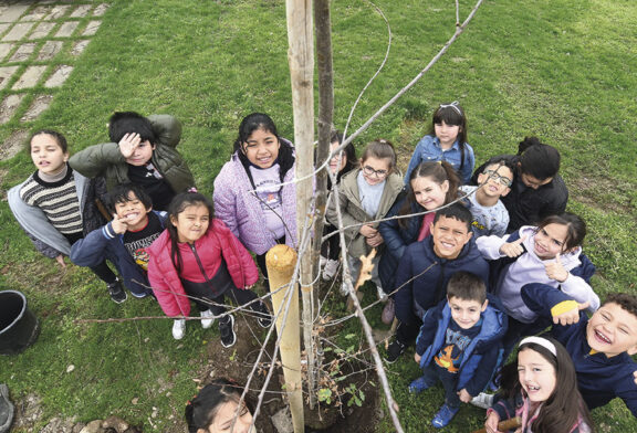 Diez árboles más para sombrear el ‘Bosque del Futuro’