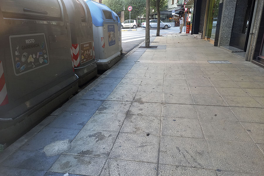 EH Bildu denuncia el abandono de la limpieza en los barrios de Estella-Lizarra