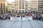 Concentración en Estella-Lizarra en defensa del Hospital García Orcoyen y el servicio de Traumatología
