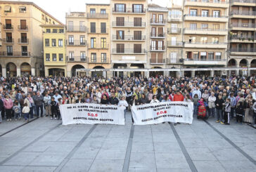 Concentración en Estella-Lizarra en defensa del Hospital García Orcoyen y el servicio de Traumatología